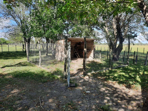 Imagen 23 de 30 de Campo Ganadero En Federal Entre Ríos