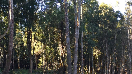 Sitio En Venta En Chaitén