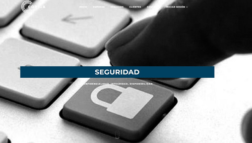 Servicio Tecnico Y Consultoria Informatica