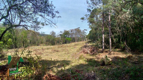 Imagem 10 de 30 de Chácara Ideal Para Quem Procura Tranquilidade Próximo As Principais Cidades Do Circuito Das Águas. - Ch0010