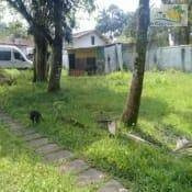 Imagem 6 de 10 de Casa Residencial À Venda, Jardim Umuarama, Itanhaém. - Ca0499