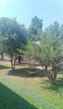Chácara Com 3 Dormitórios À Venda, 1500 M² Por R$ 700.000,00 - Chácara Primavera - Sumaré/sp - Ch0498