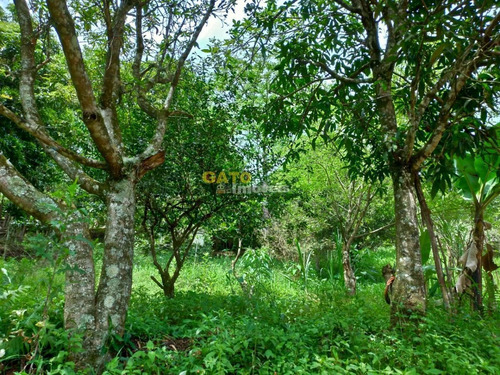 Chácara Para Venda Em Cajamar, Ponunduva, 4 Dormitórios, 3 Banheiros, 4 Vagas - 20882_1-1745244