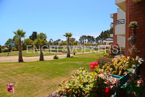 Departamento En Condominio Regata