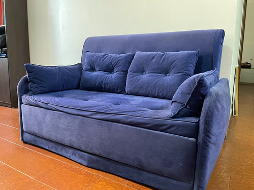 Sofa Cama De Dos Puestos   