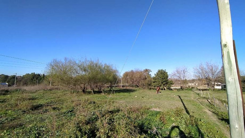 Imagen 7 de 11 de Lote En Venta En Victoria