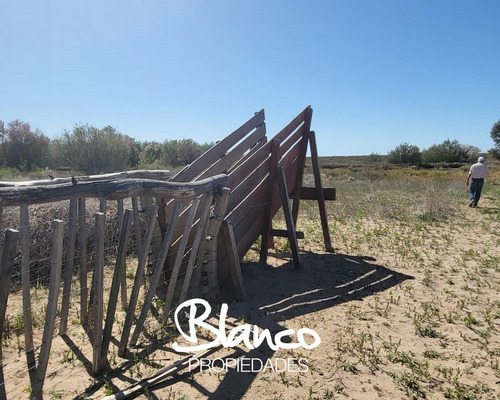 Terreno Campo En Venta En 25 De Mayo, Puelen, La Pampa