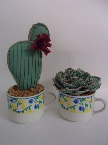 Bellos Cactus De Tela Para La Prosperidad