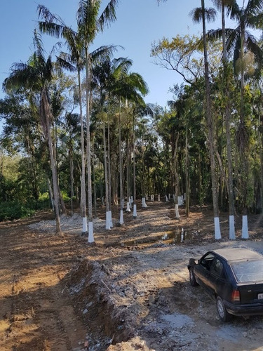 Imagem 14 de 20 de Belíssima Chácara Localizada Na Vila Santo Antônio Medindo 3.056,82m² Por R$283 Mil - Ch0168
