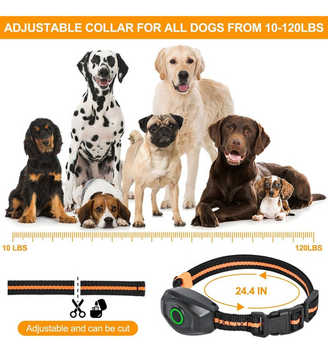 Collar De Adiestramiento Para Perros Con Control Remoto