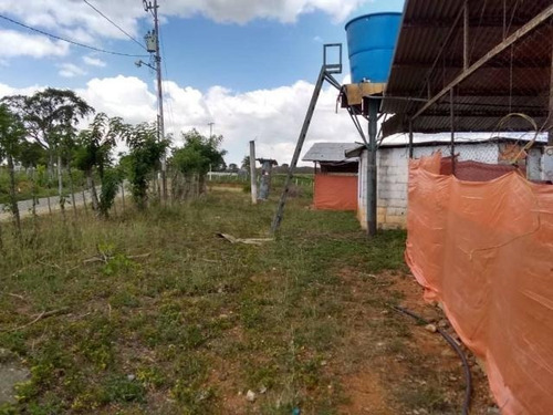 Imagen 15 de 30 de Jose Lopez Ofrece Finca ( Granja Avícola / Agrícola ) En Venta Vía A Duaca Caserio Guayabal Cordero Lara, Venezuela ,j G L Rent - A - House Telf. 0414-5533925 Cod # 22-16836 $ 15000