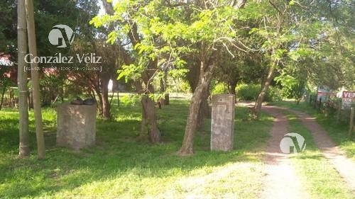 Imagen 1 de 4 de Venta/terreno