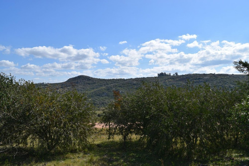 Imagen 4 de 25 de Venta Chacra Pueblo Eden Maldonado Ruta 60