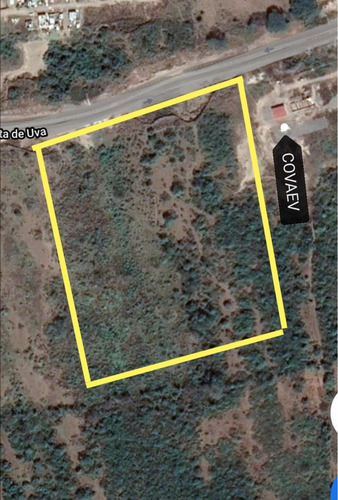 Terreno De Oportunidad En Punta De Antón Lizardo, Veracruz