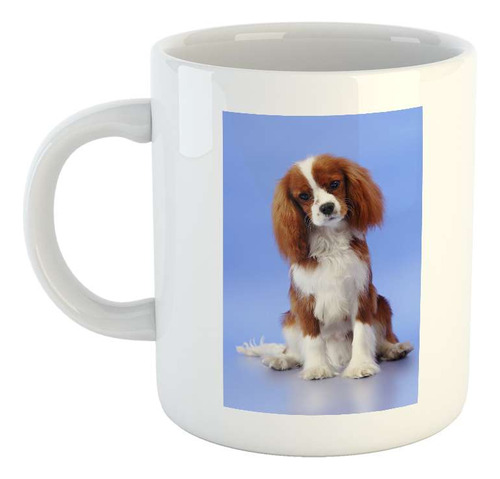 Taza Ceramica Perros 3 Cachorro Pitbull Frente