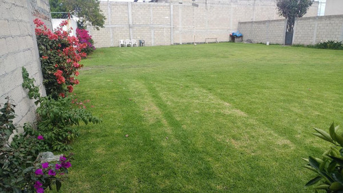 Imagen 3 de 6 de Terreno - San Pedro