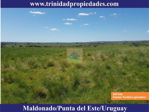 Imagen 2 de 14 de 325 Hás Campo Ganadero Criador