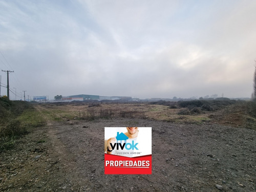 Imagen 3 de 4 de 8,5 Hectáreas, Terreno Industrial, Orilla Carretera, Teno!!!