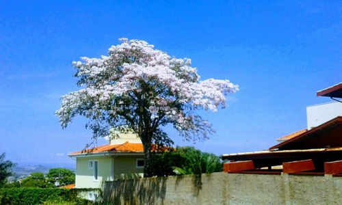Casa Com 5 Dormitórios À Venda, 375 M² Por R$ 1.180.000,00 - Caminhos De San Conrado - Campinas/sp - Ca4118