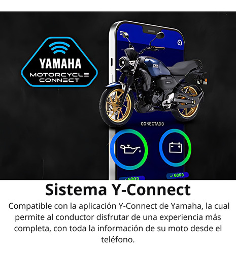 Yamaha Fz X 150 Neo Retro Fz Fi Fzs Fz 150 - Palermo Bikes