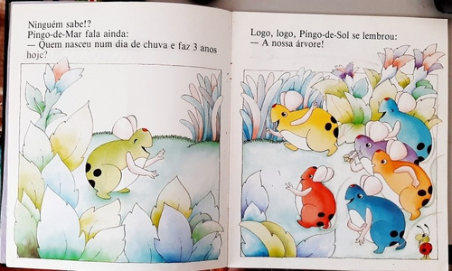 Livro O Aniversário- Mary França / Eduardo França (Usado)
