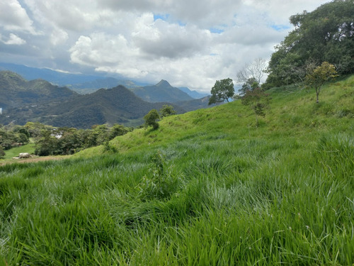 Venta De Lote Semiplano En La Vega