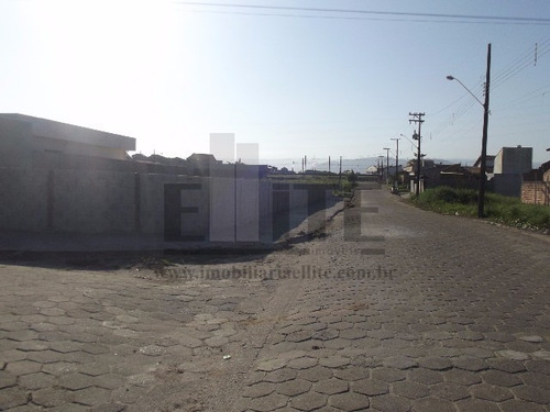 Imagem 8 de 13 de Terreno - Te00035 - 32363942