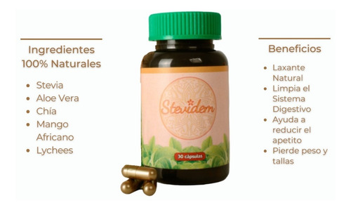 Stevidem