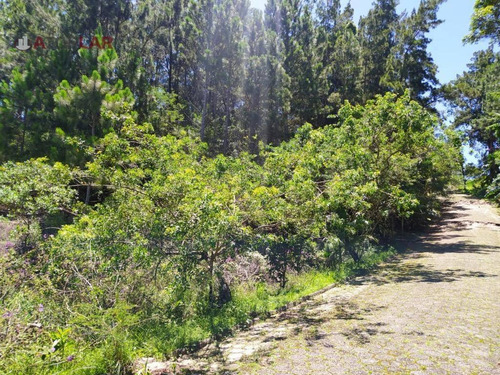 Imagem 5 de 6 de Terreno À Venda, 9500 M² Por R$ 2.300.000,00 - Vila Nova - Porto Belo/sc - Te0083