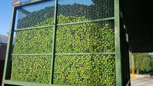 Imagen 8 de 8 de Aceitunas Verdes Yancanelo Bidón 1 Kg X 4 U