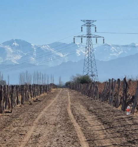 Terreno Lunlunta Maipú Mendoza