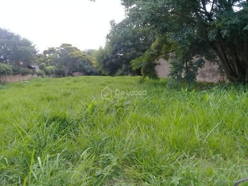 Imagem 3 de 5 de Terreno À Venda Em Parque Taquaral - Te007040