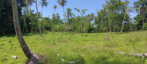 Vendo 9 Tareas De Terreno A 5 Minutos De La Playa En Los Robalos, Samaná, Rep.dom
