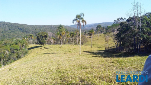Imagem 1 de 15 de Fazenda - Centro - Sp - 514193