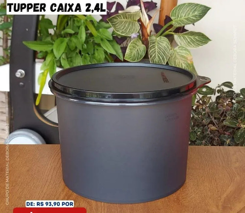 Tupperware® | Tupper Caixa Mantimento 2,4 Litros Armazenagem