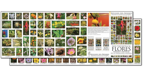 Imagen 10 de 10 de 3 Guías Fotograficas De Naturaleza De La Patag. A Elección