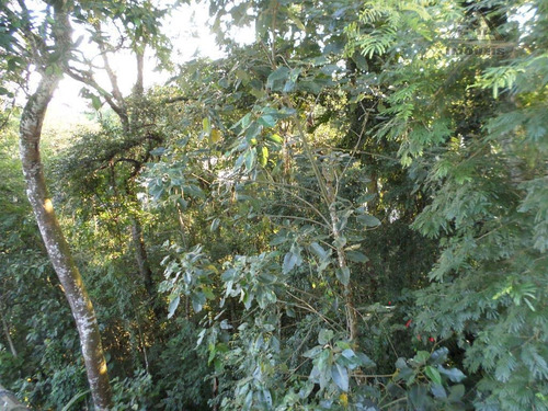 Imagem 6 de 16 de Terreno Residencial À Venda, Condomínio Arujazinho I, Ii E Iii, Arujá - Te0101. - Te0101
