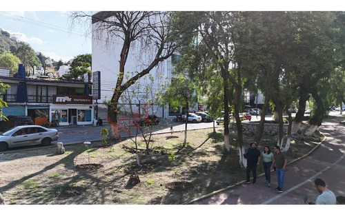 Edificio En Venta En Calzada De Los Jinetes /generando Rentas