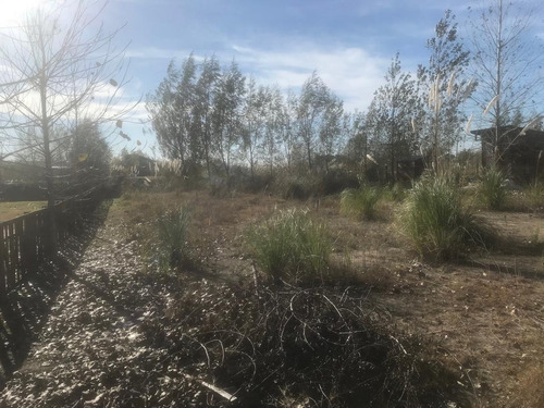 Imagen 4 de 5 de Terreno - Villa Paranacito