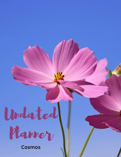 Cosmos Undated Planner: The Cosmos With 2 Years Plans And 24 Months With Flexible Glossy Cover, De Champion, Tracey., Vol. 1. Editorial Oem, Tapa Blanda En Inglés