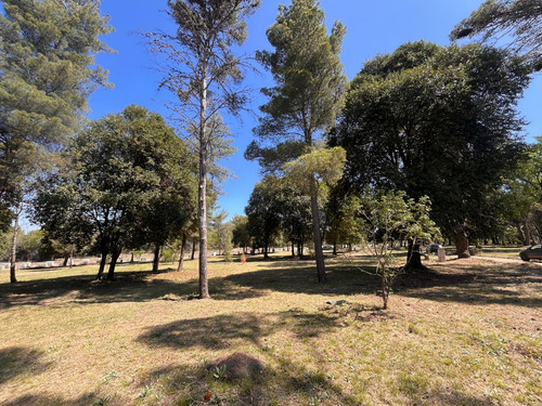 Lotes En Venta Villa General Belgrano El Bosquecillo Cód 2144