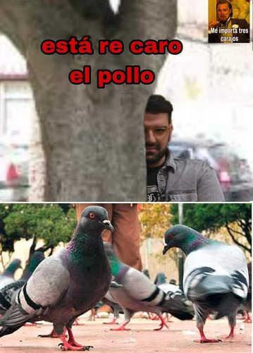 Imagen 8 de 8 de Cabaña Los Beduinos