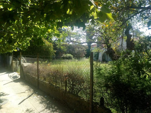 Imagen 3 de 5 de Amplio Lote Para Inversion Con Casa Colonial
