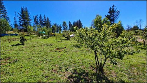 Parcela Con 2 Casas Y 8000m2 De Terreno (126968)