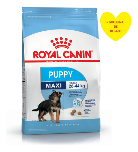 Royal Canin Maxi Puppy Perro Cachorro Grande 15k + Regalo