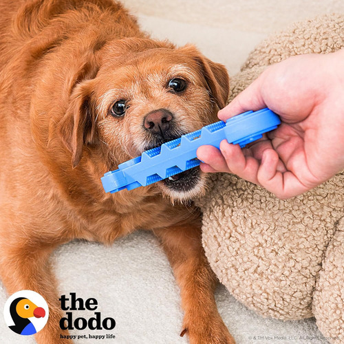 Juguete Masticable De Nailon Con Sabor A Tocino