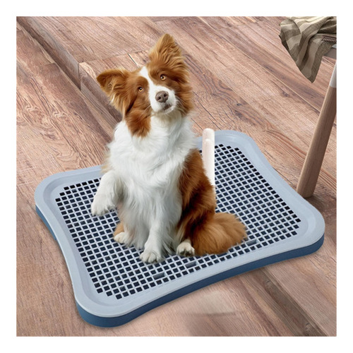 Inodoro Para Mascotas, Bandeja Antideslizante Para Orinal De