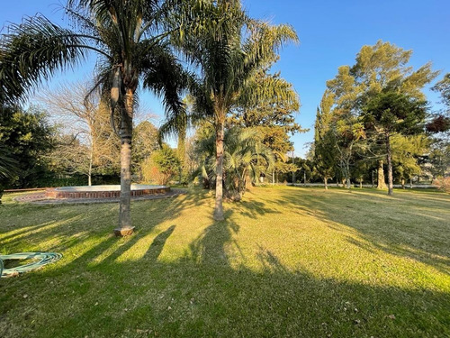 Imagen 19 de 25 de Venta Quinta Casa Berisso; Piscina; Forestacion; Quincho ; Parrilla