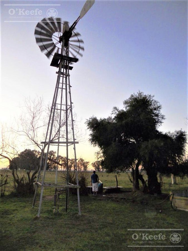Imagen 20 de 23 de Chacra En Venta De 20 Has Sobre Ruta 3 - Combina Producción Y Descanso - Las Flores