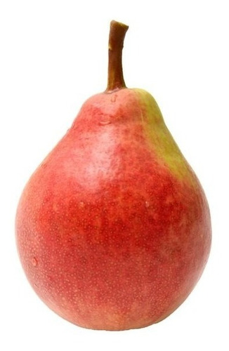 Pera Roja Orgánica X 17 Kilos